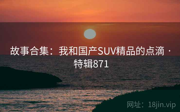 故事合集：我和国产SUV精品的点滴 · 特辑871  第1张